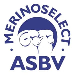 MERINOSELECT ASBV