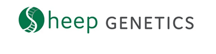 Sheep Genetics